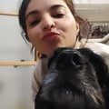 @ararinha profile image