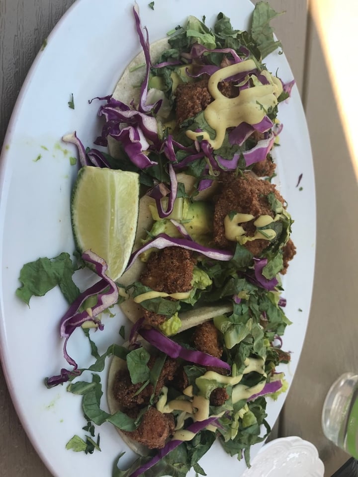 photo of So Radish Cauliflower tacos shared by @mallory17 on  18 Jun 2020 - review