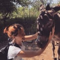 laurafacci @laurafacci profile image
