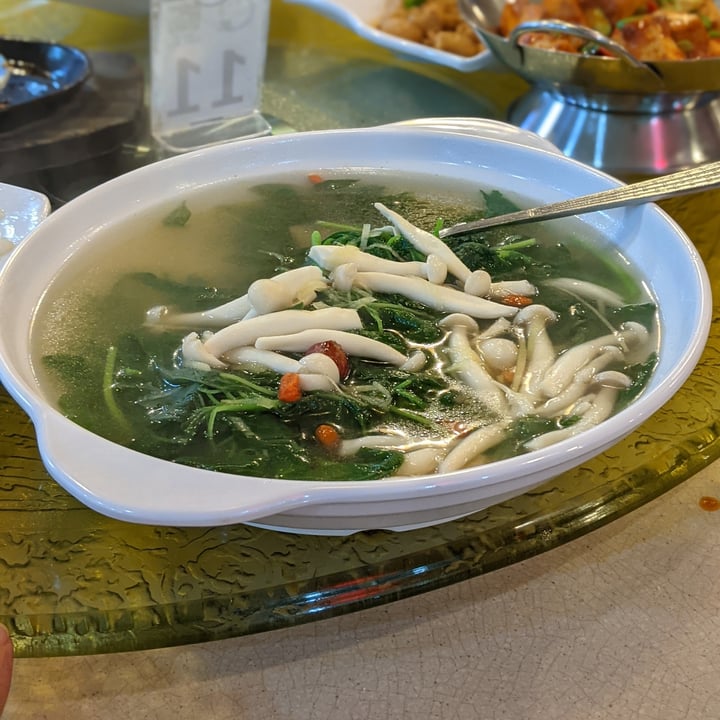 photo of Nature Vegetarian Delights Spinach in Superior Stock shared by @oblongboxes on  01 May 2021 - review