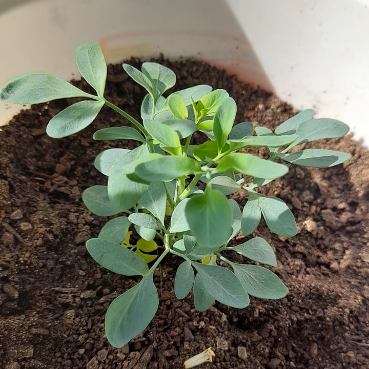 review photo shared by @danireich on 10 Jul 2022 - post