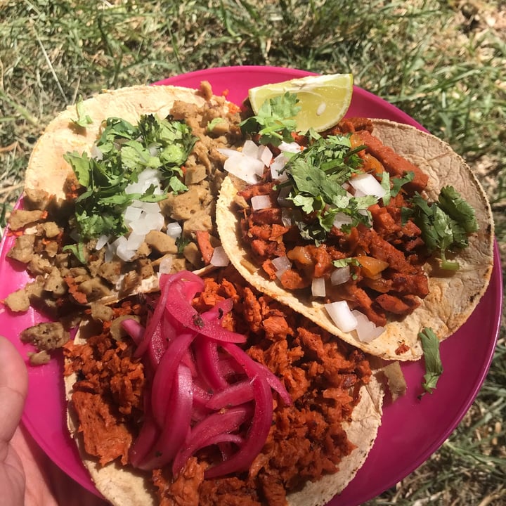 photo of GOLD TACO Tacos Milanes, Tacos Al Pastor, Cochinita Taco shared by @veganeandoporelmundo on  26 Oct 2020 - review