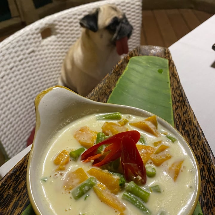 photo of Canvas & Orchids Retreat | Glamping in Cambodia stir droed pimpkin and longbean in coconut sauce shared by @janscaz on  13 Jun 2022 - review