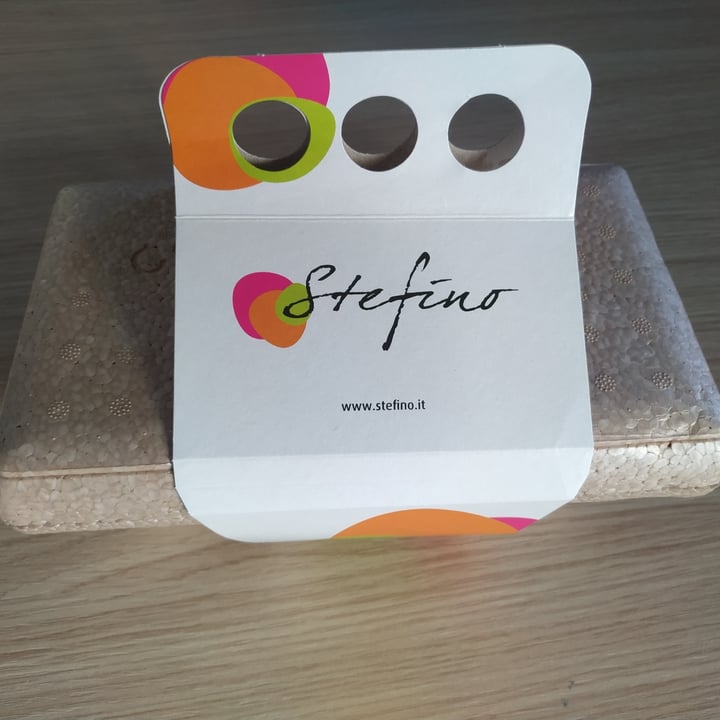 review photo of Stefino Organic Gelato gelato vegano shared by @zema on 04 May 2022 - review