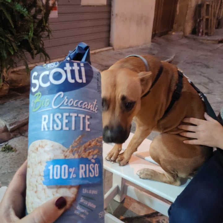 photo of Riso Scotti Bio Croccanti Risette riso e soia shared by @zaffo on  23 Oct 2022 - review