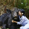 @leilanifarmsanctuary profile image