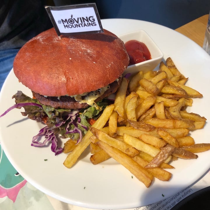 photo of Green Flamingo Innsbruck Burger shared by @estherhasi on  30 Aug 2020 - review