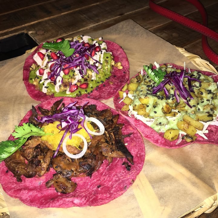 photo of La Pitahaya Vegana Tacos variados shared by @jrororo on  28 Sep 2020 - review