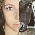 eleonoragee @eleonoragee profile image