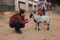 juniperusvegan @juniperusvegan profile image