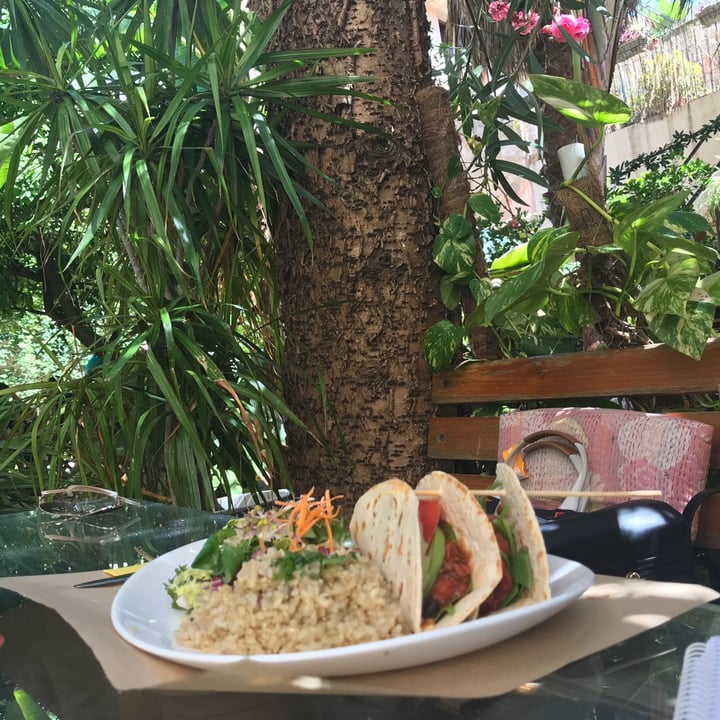 review photo of Temple Natura Cafè Fajitas con Chili sin carne, arroz y ensalada shared by @irinailt on 22 Jun 2020 - review