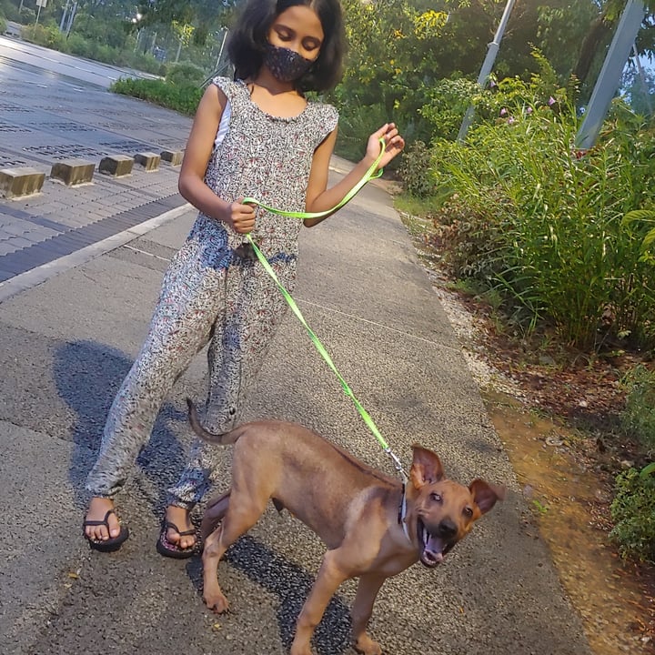 review photo shared by @veganvedika on 21 Jul 2021 - post