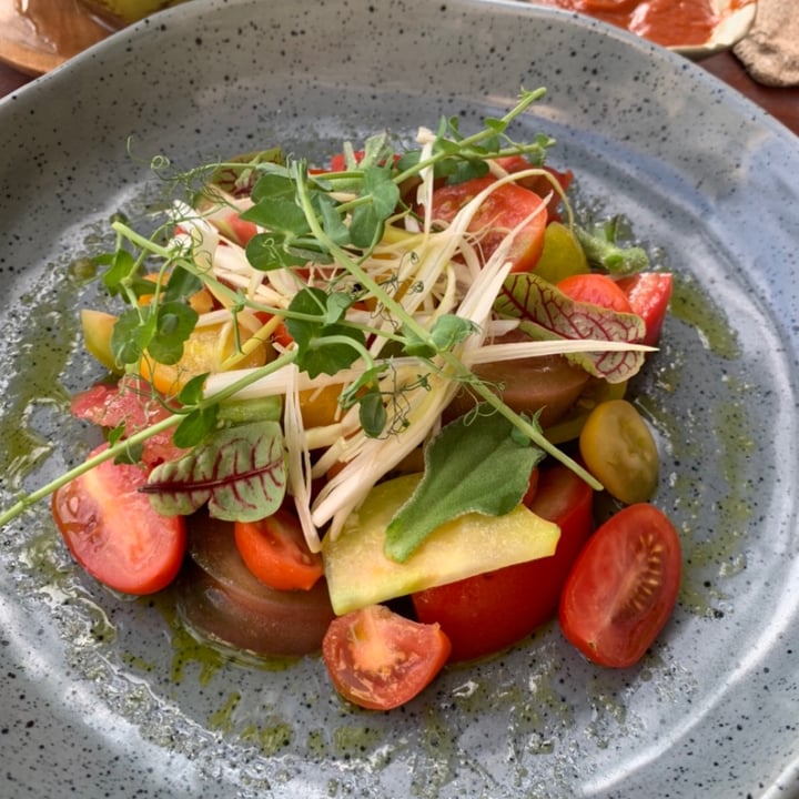 photo of La Brisa Tomato Salad shared by @goldiewanders on  10 Aug 2021 - review