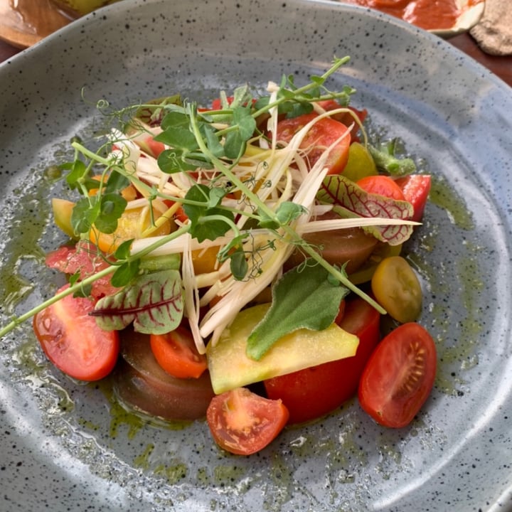 photo of La Brisa Tomato Salad shared by @goldiewanders on  10 Aug 2021 - review