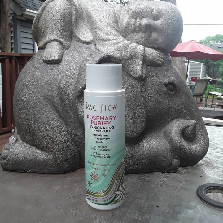review photo of Pacifica Rosemary purify invigorating shampoo shared by @ohtobeahayes on 11 Jun 2021 - review