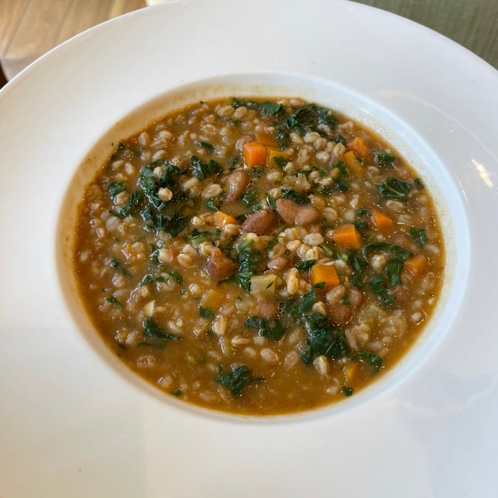 photo of Cafe Bateel - Arabian Ranches, Dubai Mediterranean Farro Soup shared by @talvegan on  16 Sep 2021 - review