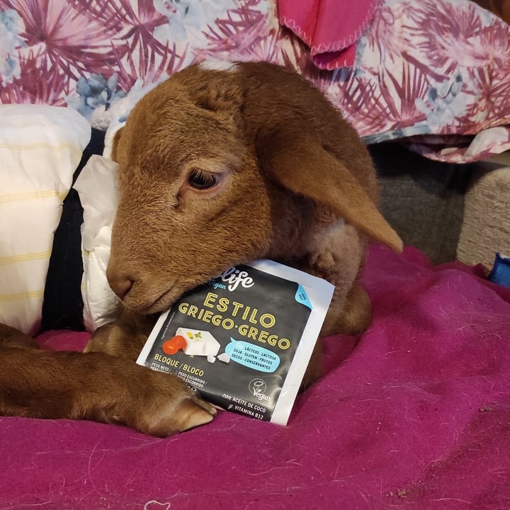 review photo of Violife Queso bloque estilo griego shared by @elur on 25 Dec 2021 - review