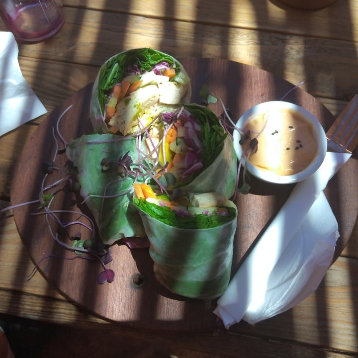 photo of The Conscious Kitchen Summer Rice Paper Rolls shared by @laurenbettyd on  09 Feb 2021 - review