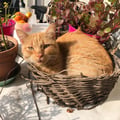 margheritabbb @margheritabbb profile image