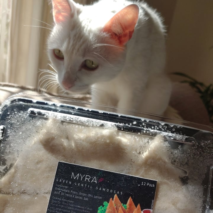 review photo of Myra Green lentil samoosas shared by @veganonthesavannah on 11 Jun 2021 - review