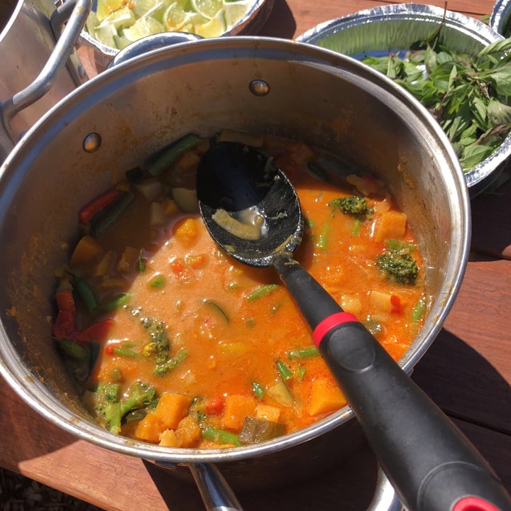 photo of Vegan By Dani Curry Sauce and Veggies shared by @katrinaji on  13 Mar 2021 - review