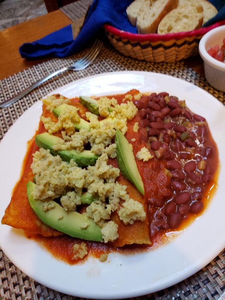 review photo of La Casa Del Pan, Panadería, Tienda y Restaurante Vegano y Vegetariano Enchiladas Rojas shared by @janettecarrillo on 24 Feb 2020 - review
