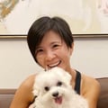 shanying @shanying profile image