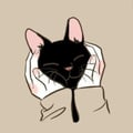 evelinlima @evelinlima profile image