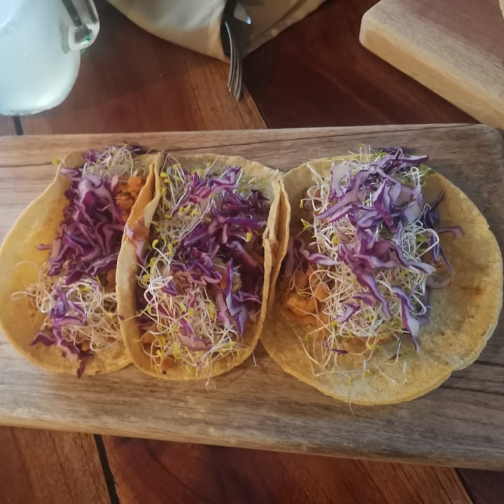 photo of Casa Maca Vegan Concept Tacos De Coliflor En Salsa De Cacahuete shared by @angyzam on  28 Apr 2022 - review