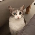 @martimollylucytonina profile image