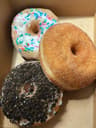 Donut Alliance