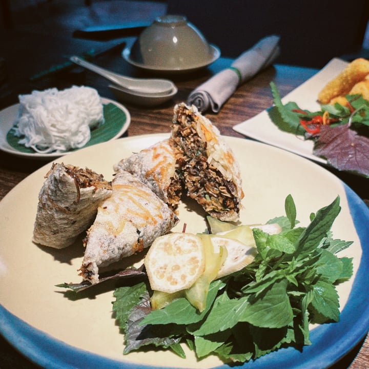 review photo of Hum Vegetarian, Garden & Restaurant Square spring roll shared by @fi-iv on 09 Jul 2022 - review