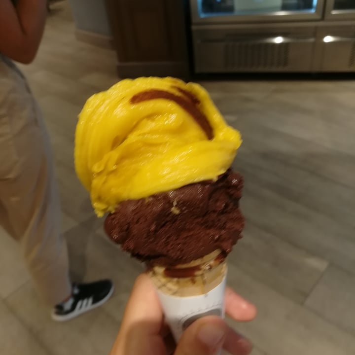 photo of Gelateria La Romana Gelato Cioccolato Fondente E Mango shared by @catodo on  10 Aug 2022 - review