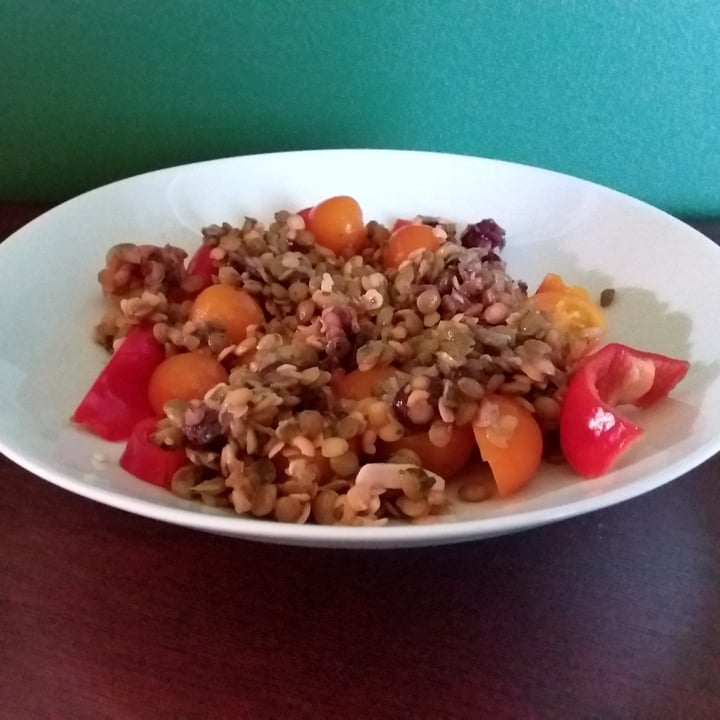 photo of Fontaine Santé Lentil and Cranberry Salad shared by @farmette on  29 Aug 2022 - review