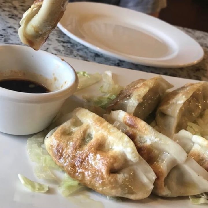 photo of Yuan Su Vegetarian Pot Stickers shared by @thetasmom13 on  13 Jun 2021 - review