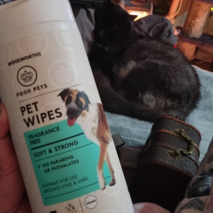 Woolworths Food Posh pet wipes Review abillion