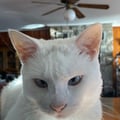 cmy123 @cmy123 profile image