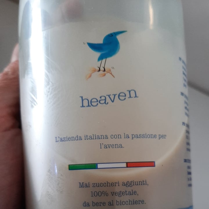review photo of Heaven avena Avena original shared by @apaolazzi on 07 May 2022 - review