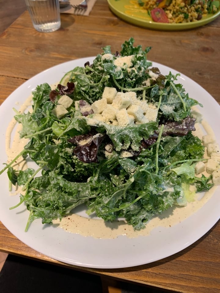 photo of Plants Caesar Salad 凱薩沙拉 shared by @papilio on  20 Oct 2019 - review