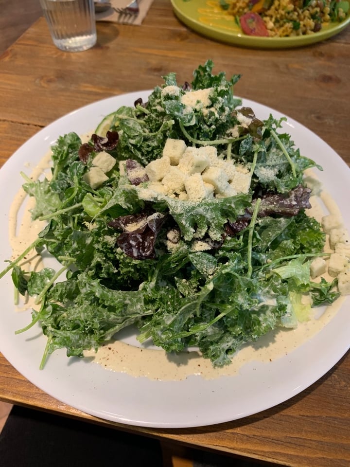 review photo of Plants Caesar Salad 凱薩沙拉 shared by @papilio on 20 Oct 2019 - review