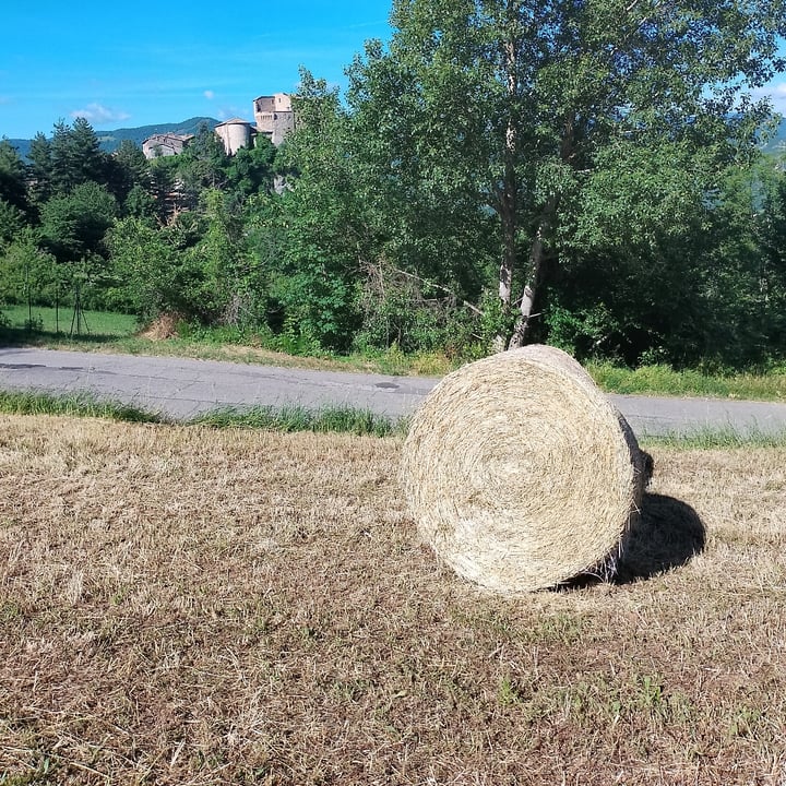 photo of balla di fieno balla di fieno shared by @mariavic on  13 Jun 2022 - review