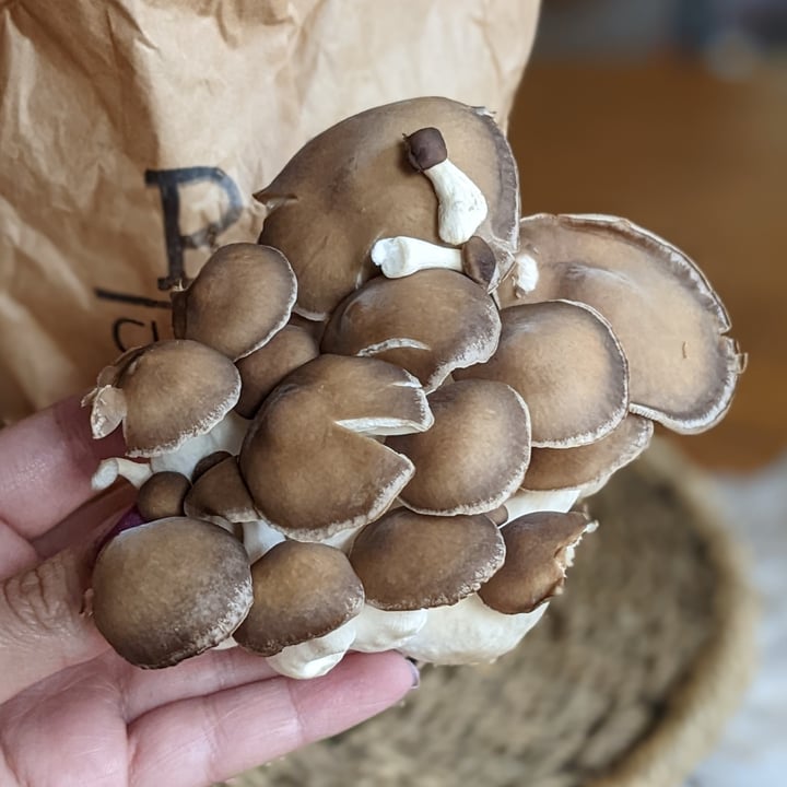 photo of R&R Cultivation Black Pearl Mushrooms shared by @iszy on  24 Sep 2022 - review