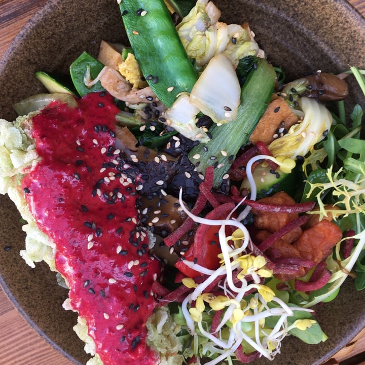 photo of VEGAN HOUSE DRESDEN Balance Bowl shared by @ellaaaa on  09 Apr 2022 - review
