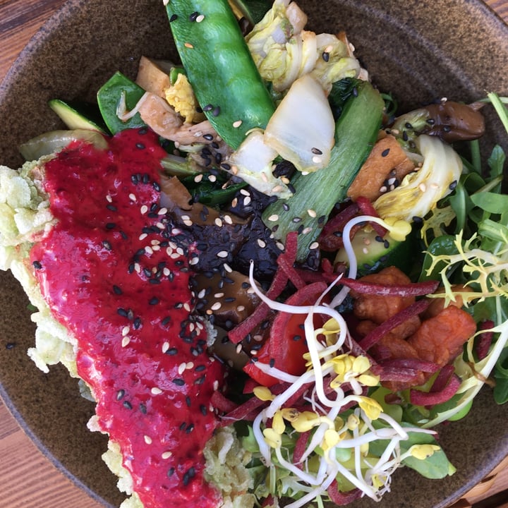 review photo of VEGAN HOUSE DRESDEN Balance Bowl shared by @ellaaaa on 09 Apr 2022 - review