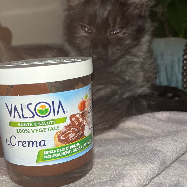 photo of Valsoia La Crema shared by @robin-jay on  02 Oct 2022 - review