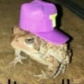 @benjamin2103 profile image