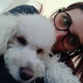debomarru @debomarru profile image
