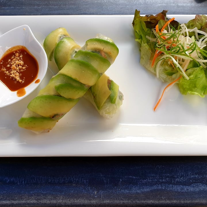 photo of Vevi Restaurant Avocado Summer Rolls shared by @janaplantpowered on  19 Jul 2020 - review