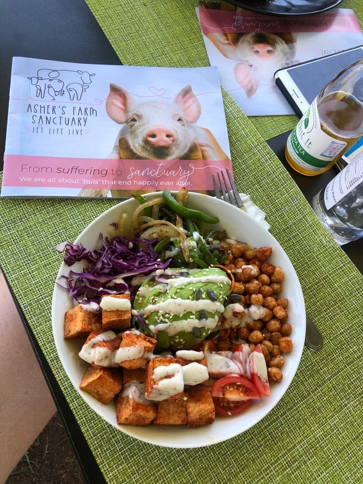 photo of Asher's Corner Cafe @ Ashers Farm Sanctuary Buddha Bowl shared by @jordynmuirhead on  24 Nov 2019 - review