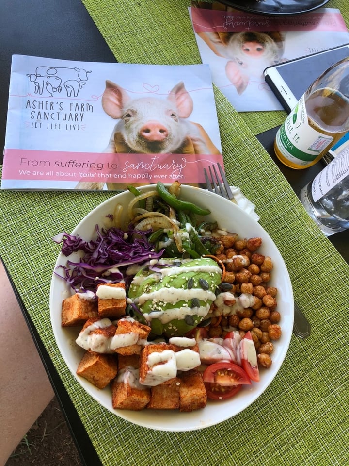 review photo of Asher's Corner Cafe @ Ashers Farm Sanctuary Buddha Bowl shared by @jordynmuirhead on 24 Nov 2019 - review